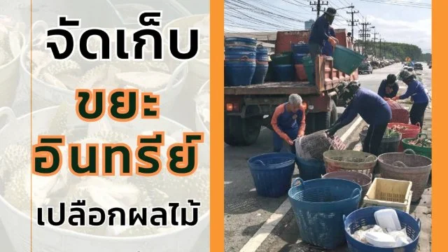 จัดเก็บขยะอินทรีย์ประเภทเปลือกผลไม้บริเวณตลาดศาลาปากแซง
